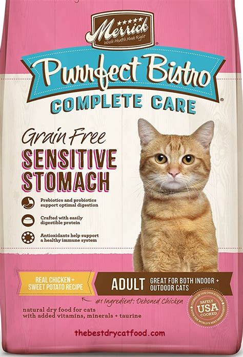 best dry cat food for sensitive stomach